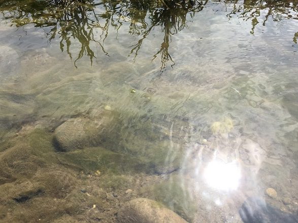 水面