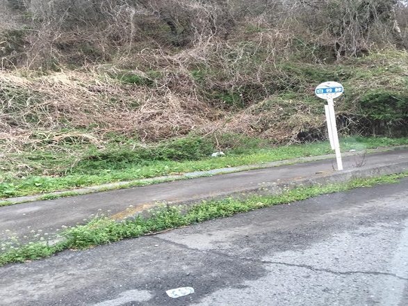 白谷峠