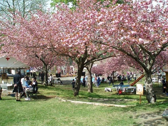 m_001_13