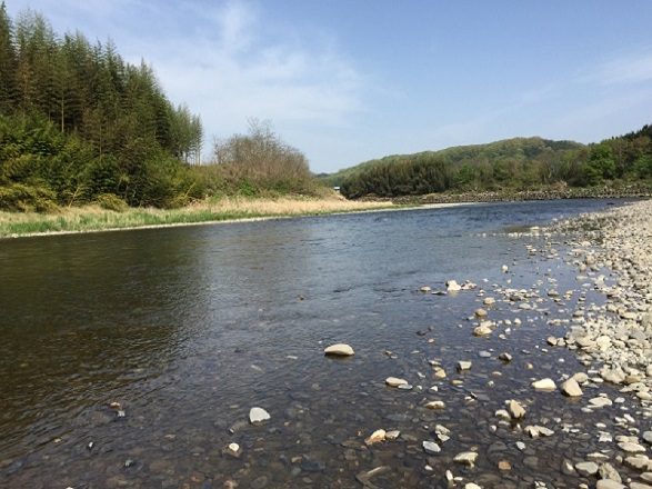 久慈川2