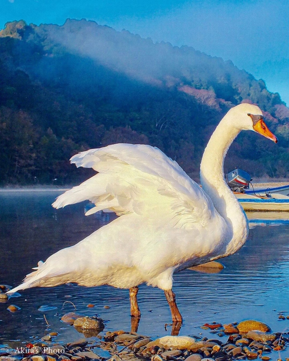 常陸大宮市