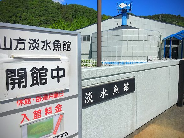 淡水魚館